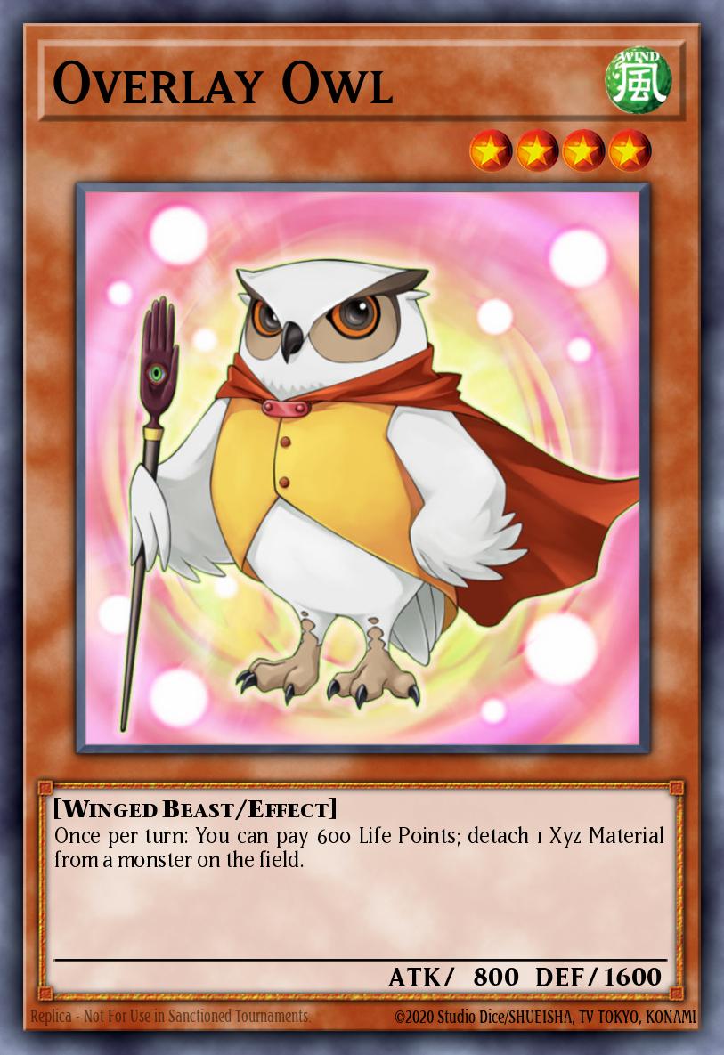 Overlay Owl GAOV-EN003