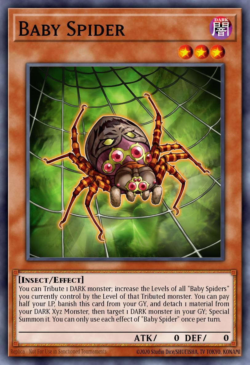 Baby Spider BLMR-EN045
