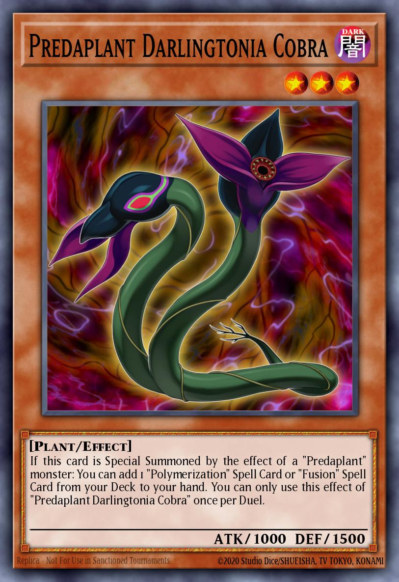 Predaplant Darlingtonia Cobra MACR-EN010