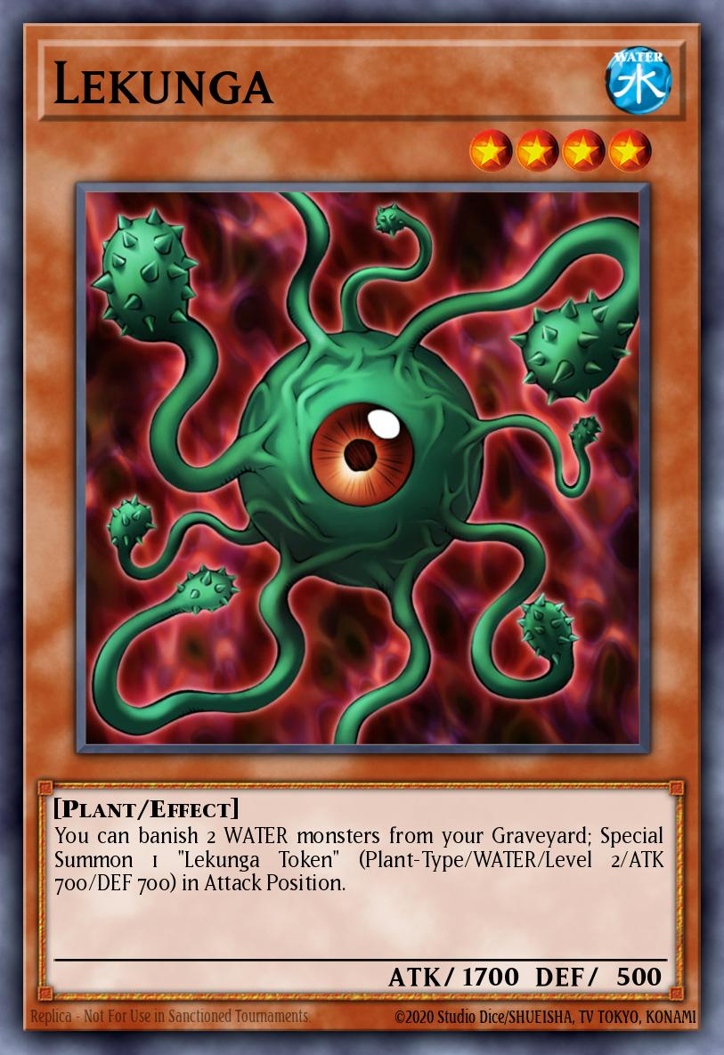 Lekunga DR2-EN027