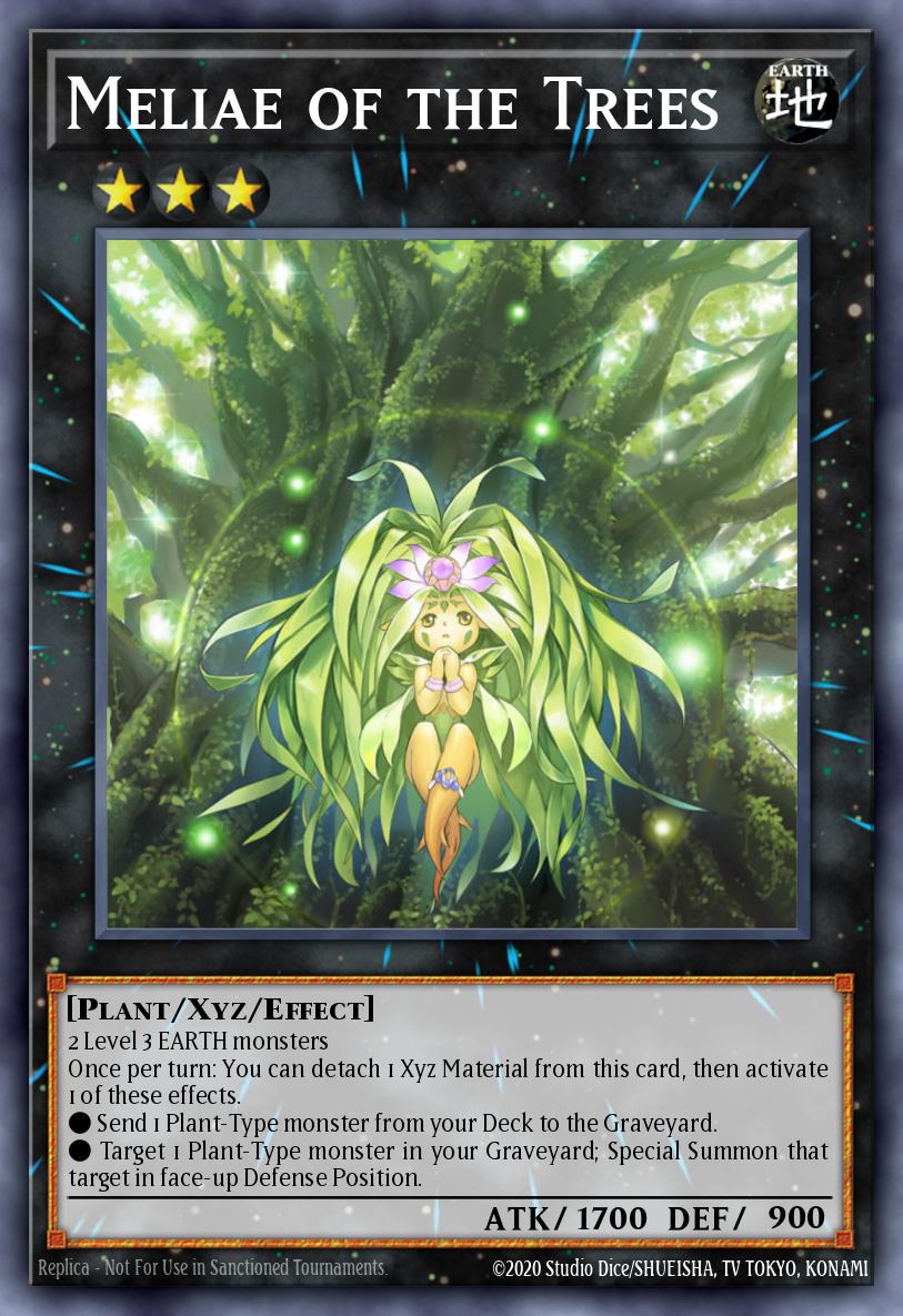 Meliae of the Trees MP14-EN165