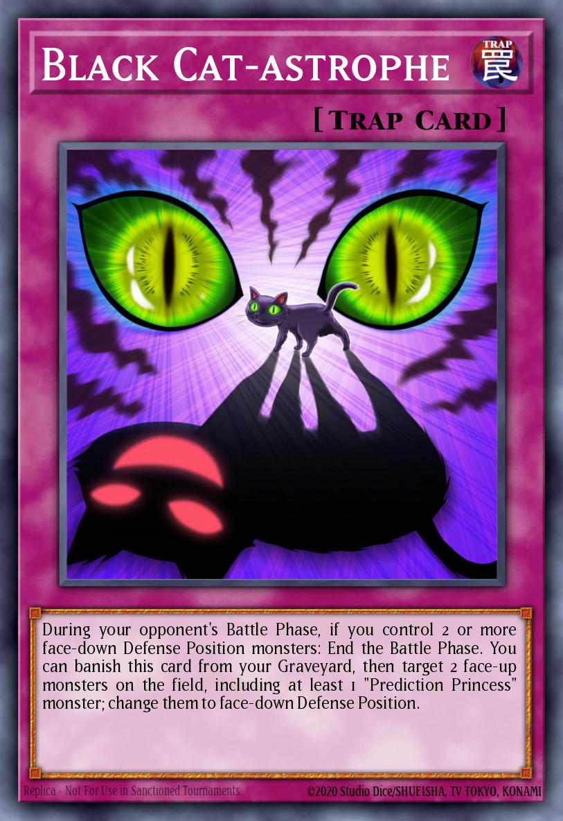 Black Cat-astrophe DRL2-EN037