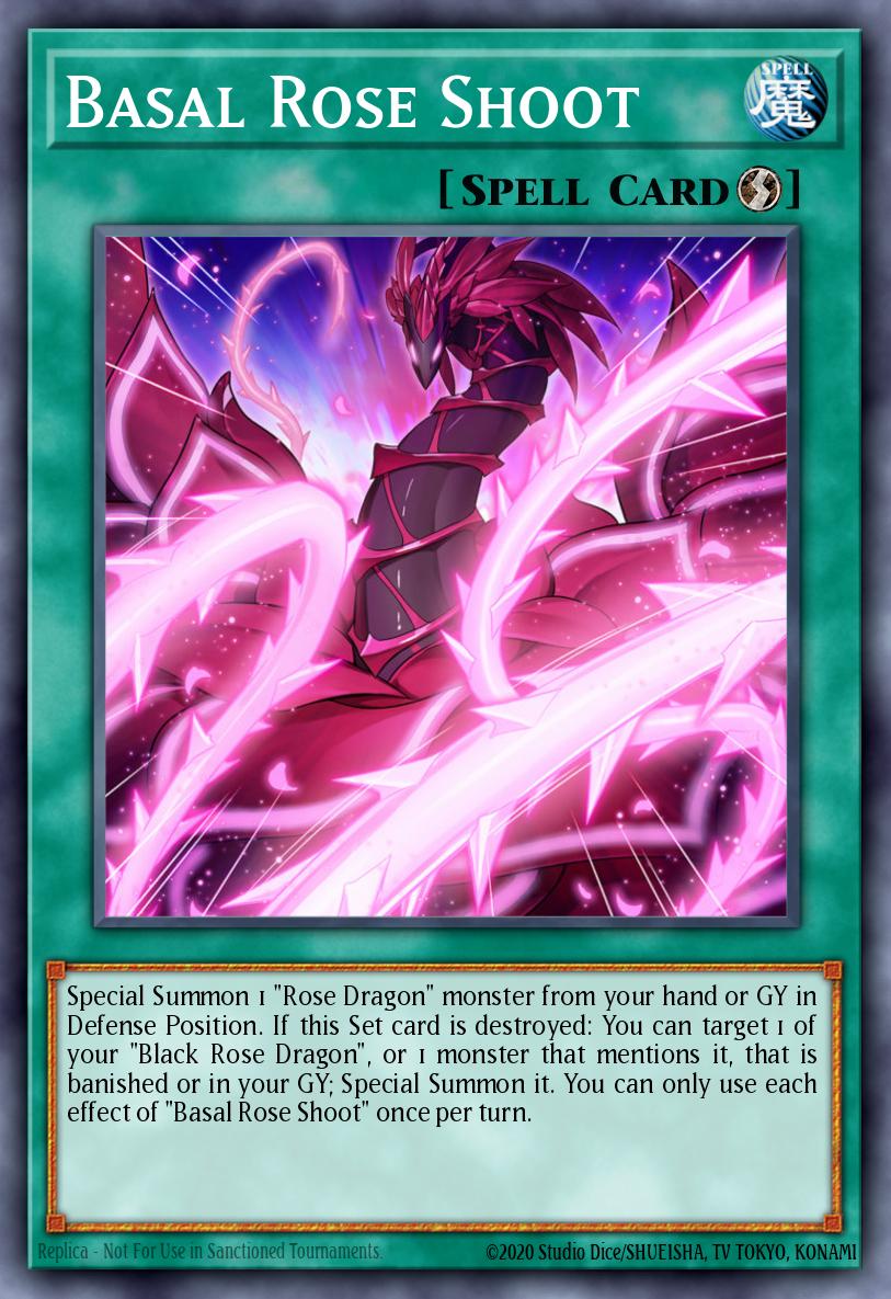 Basal Rose Shoot MP22-EN094