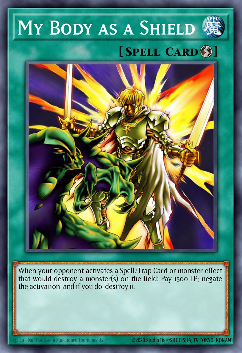 My Body as a Shield CP01-EN015