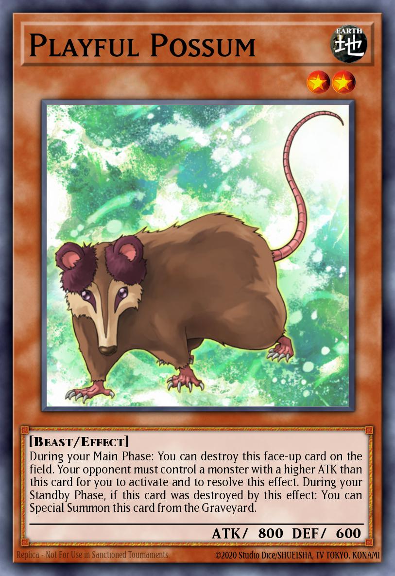 Playful Possum DREV-EN007