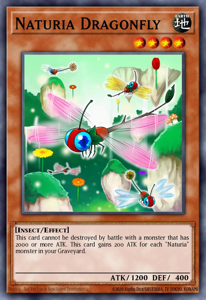 Naturia Dragonfly DT03-EN017