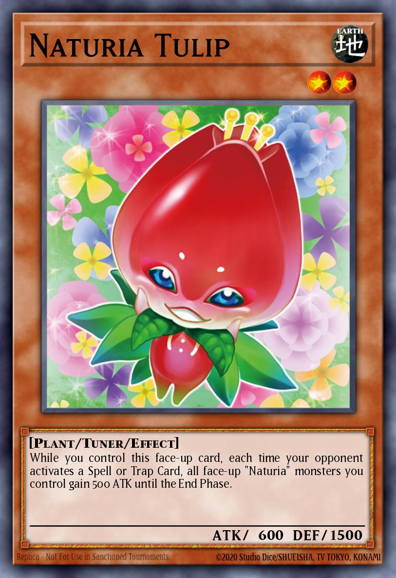 Naturia Tulip DT03-EN020