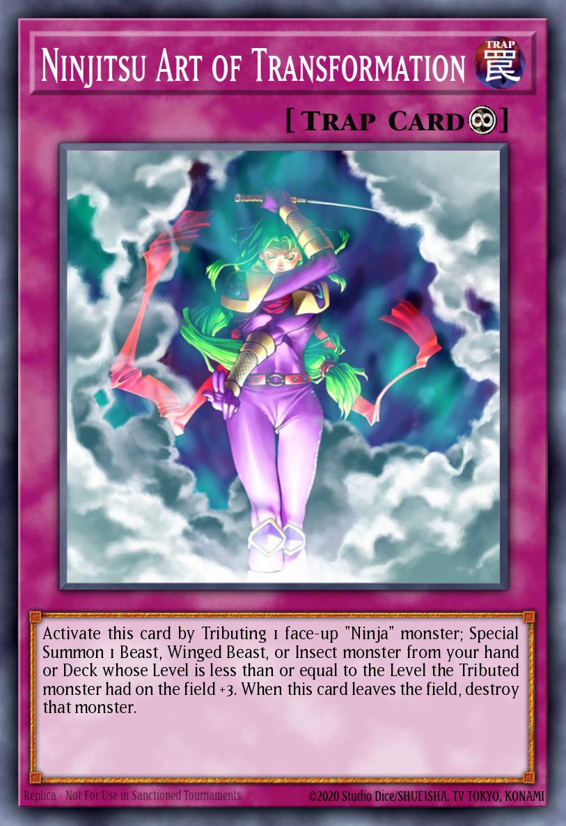 Ninjitsu Art of Transformation AST-052