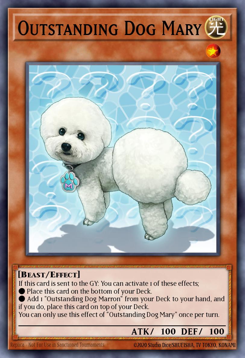 Outstanding Dog Mary BODE-EN035