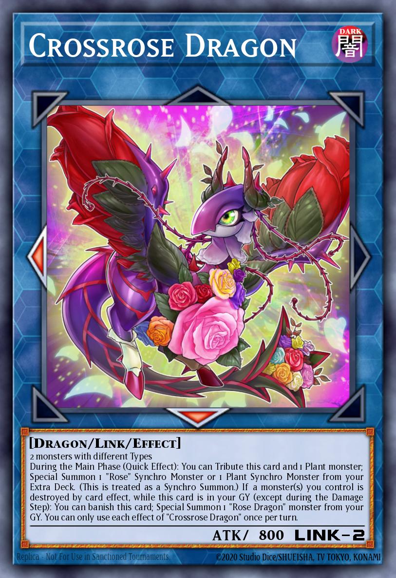 Crossrose Dragon DUOV-EN015