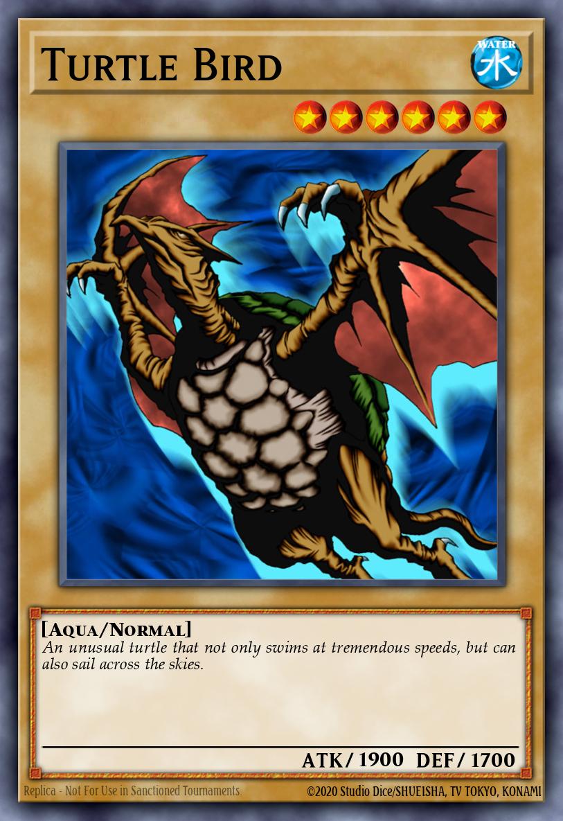 Turtle Bird MP1-014