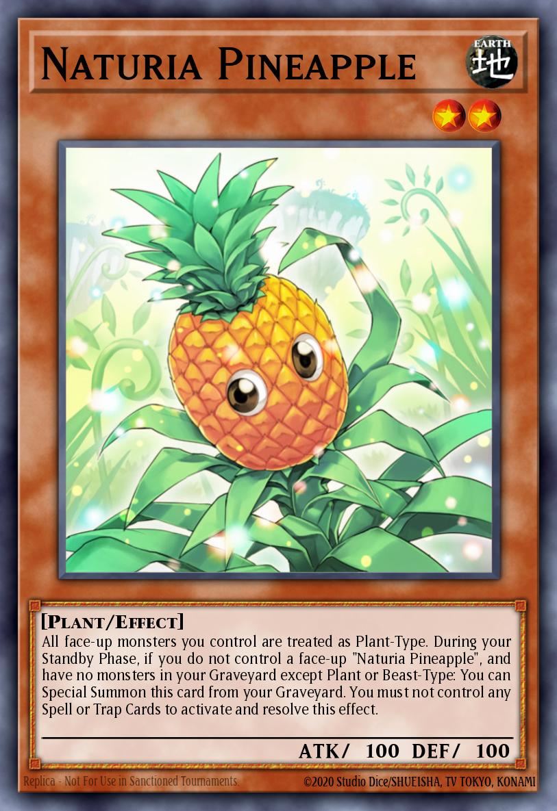 Naturia Pineapple DREV-EN082