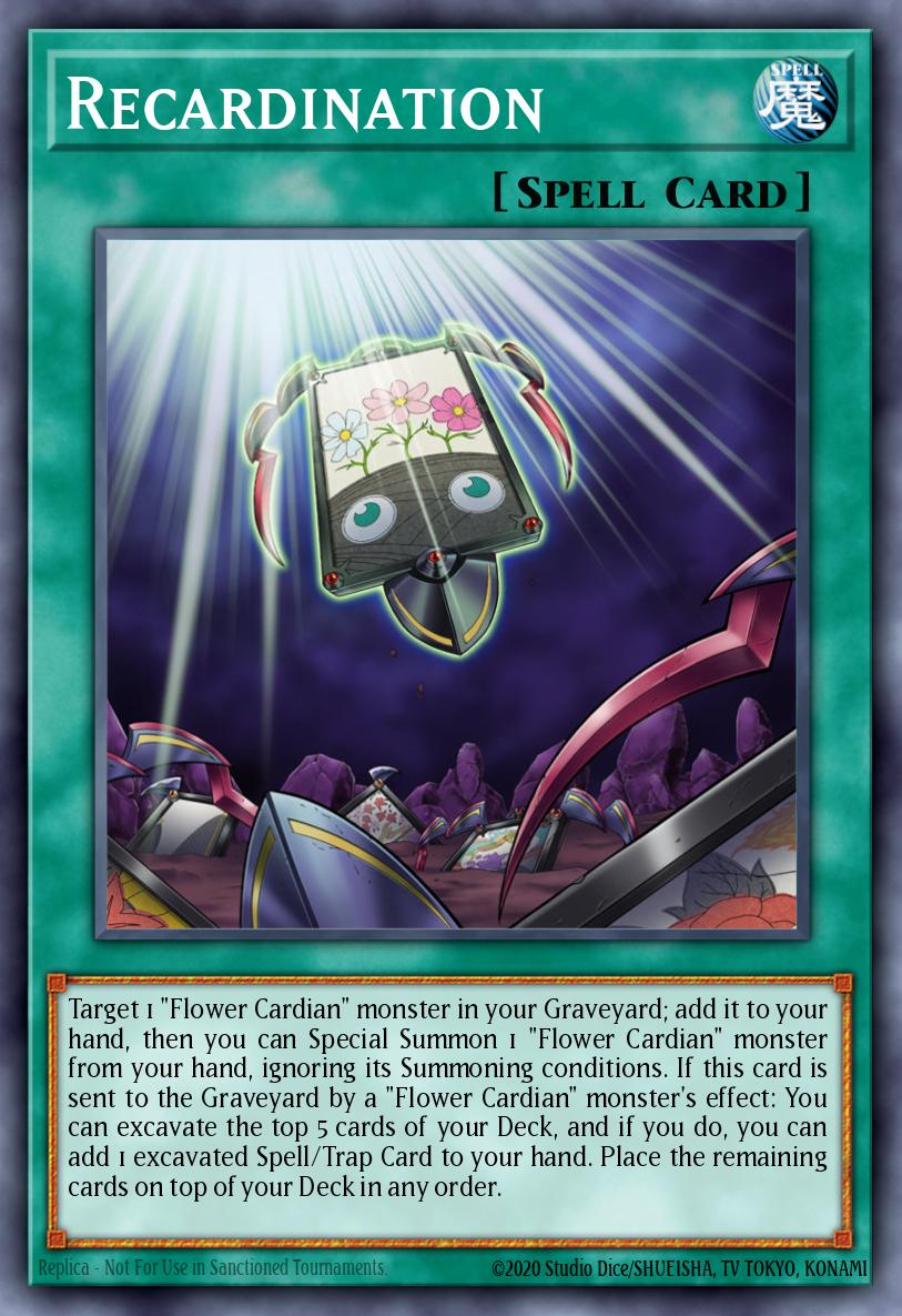Recardination RATE-EN057