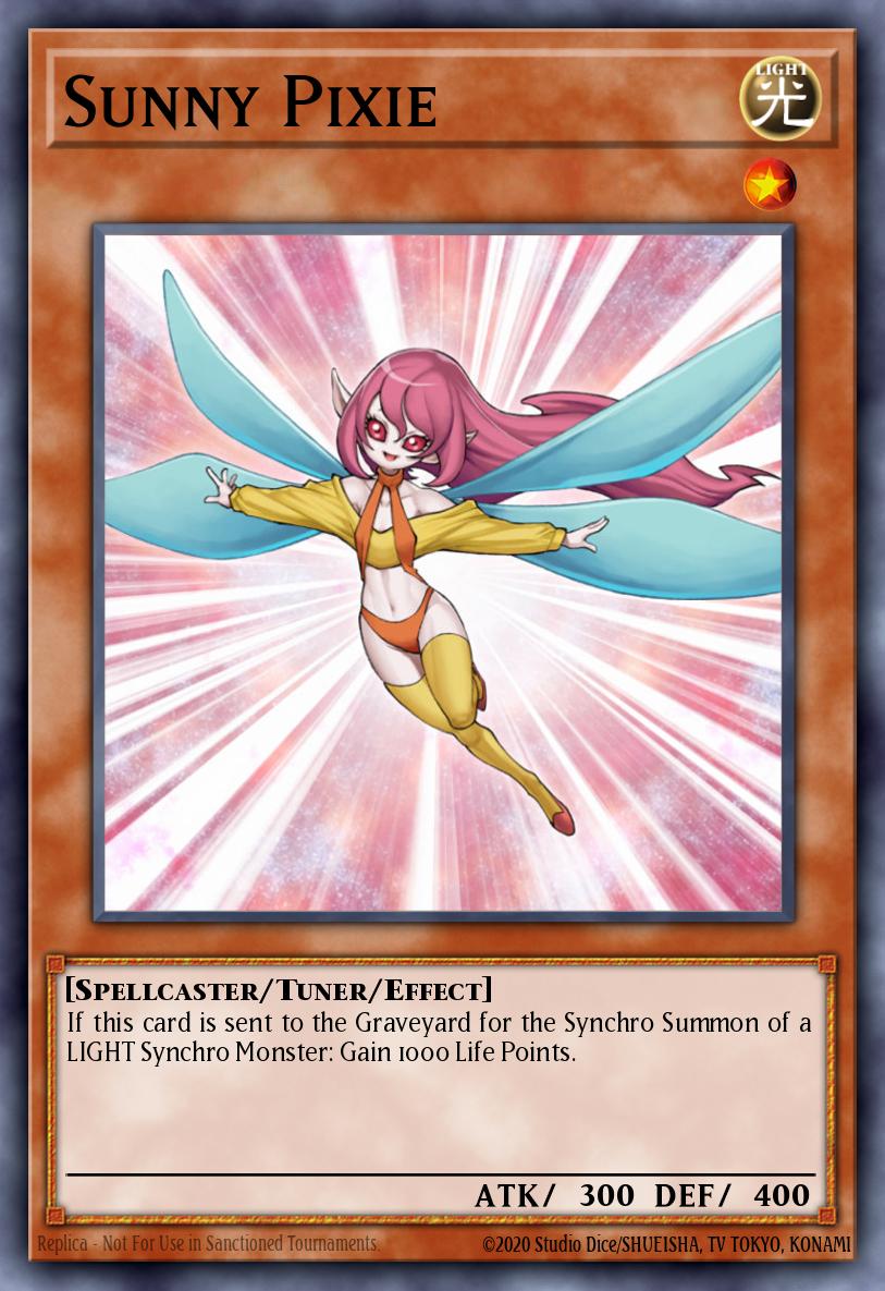 Sunny Pixie ANPR-EN002