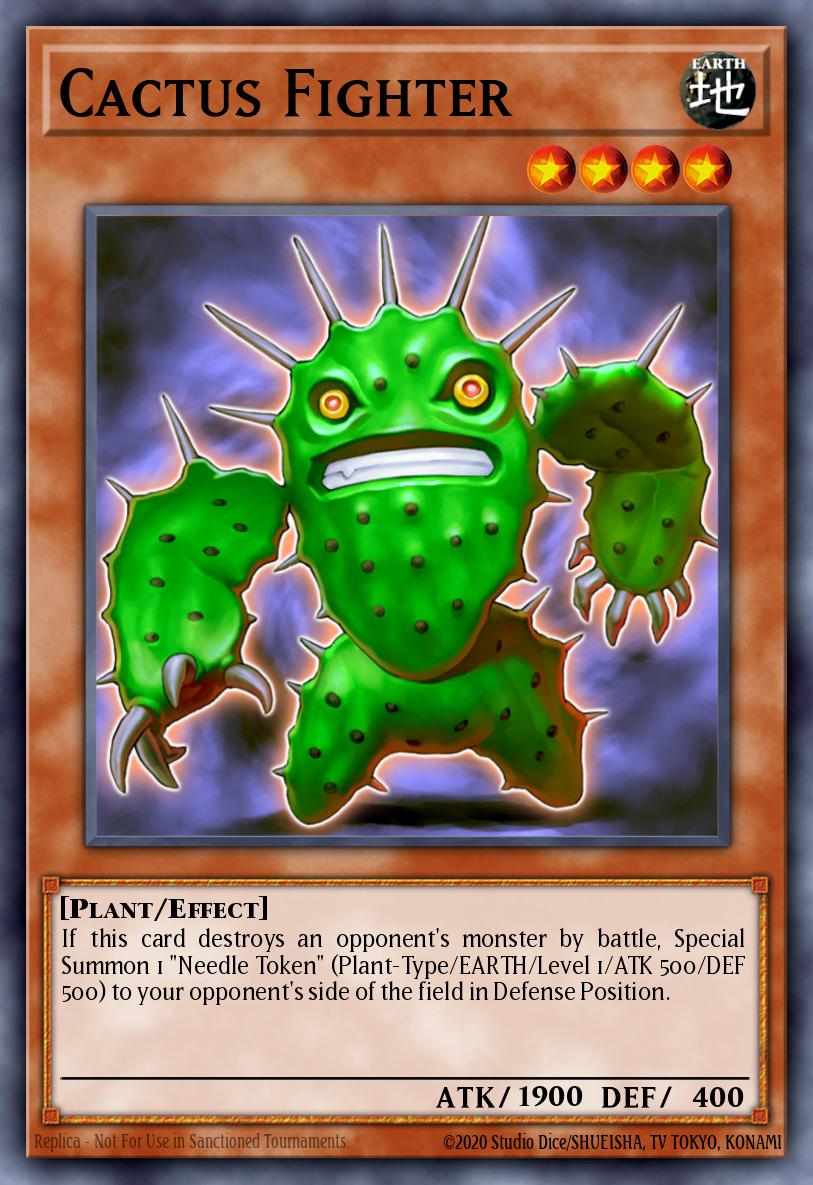 Cactus Fighter CSOC-EN082