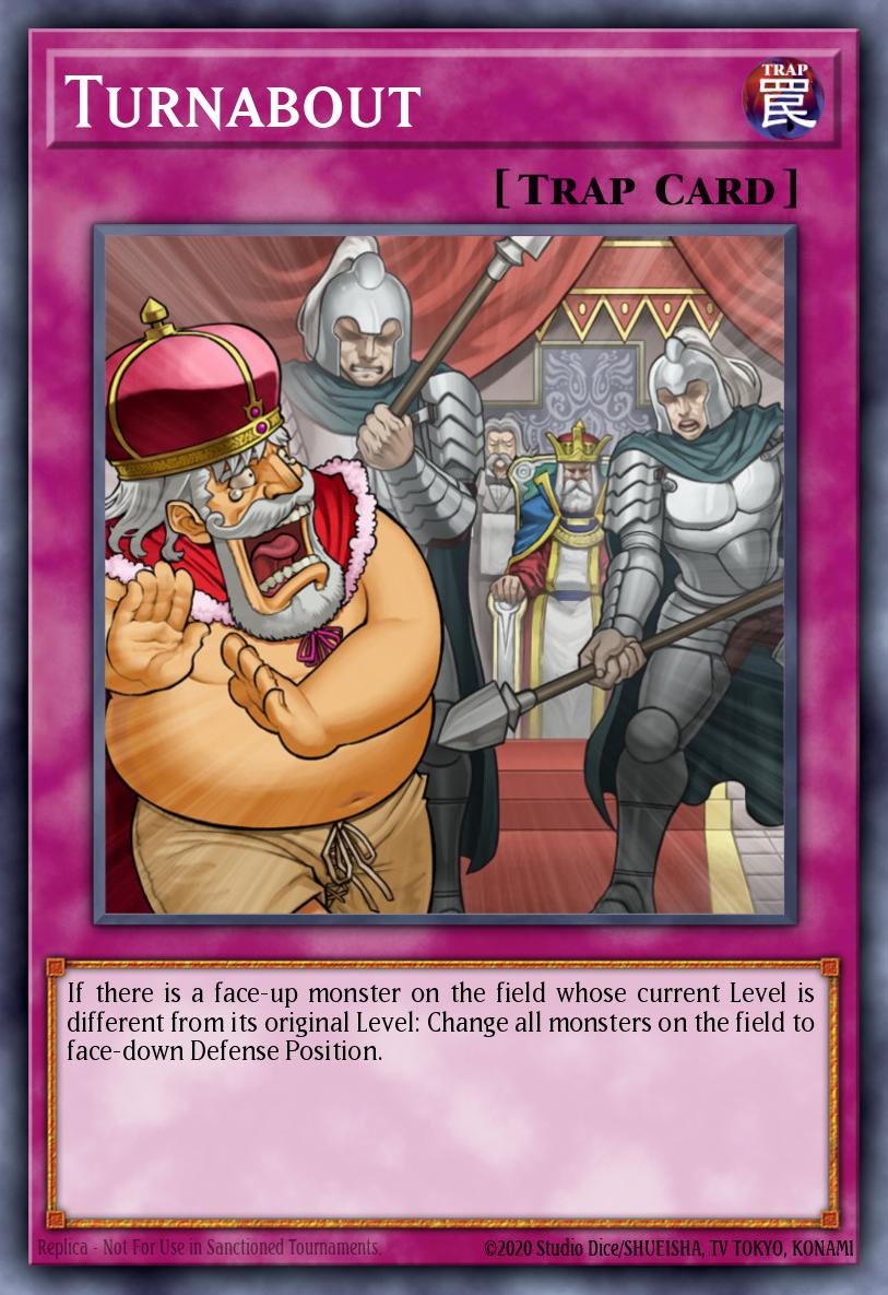 Turnabout REDU-EN075