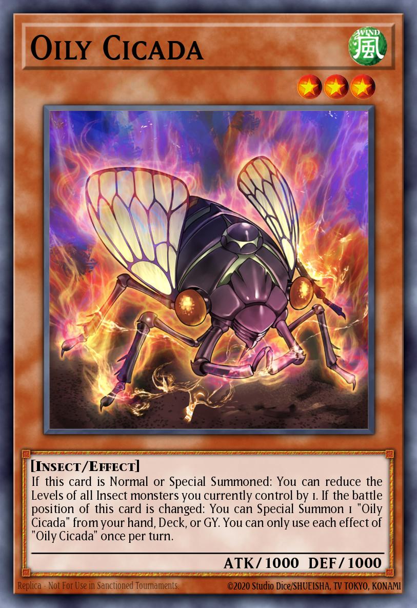 Oily Cicada BLCR-EN027