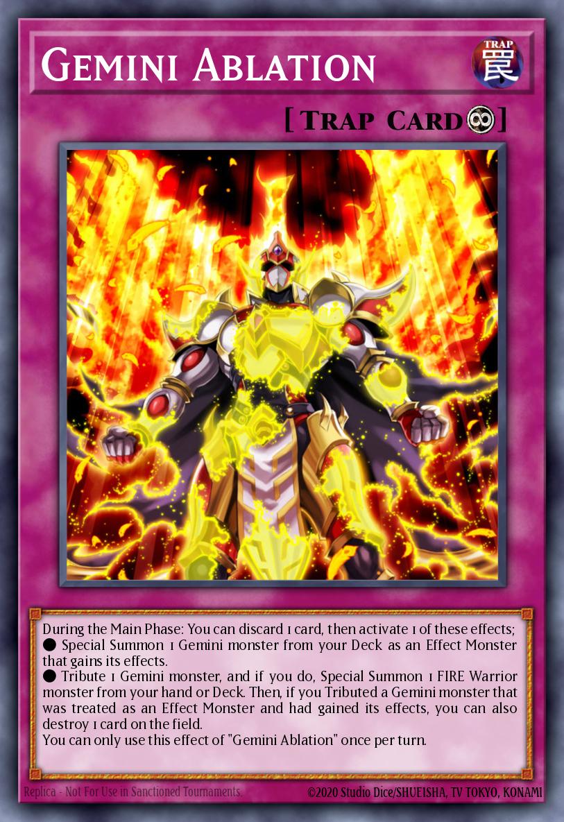 Gemini Ablation TOCH-EN019