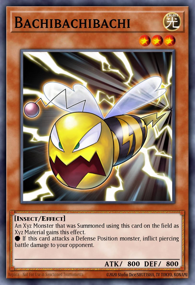 Bachibachibachi LTGY-EN001