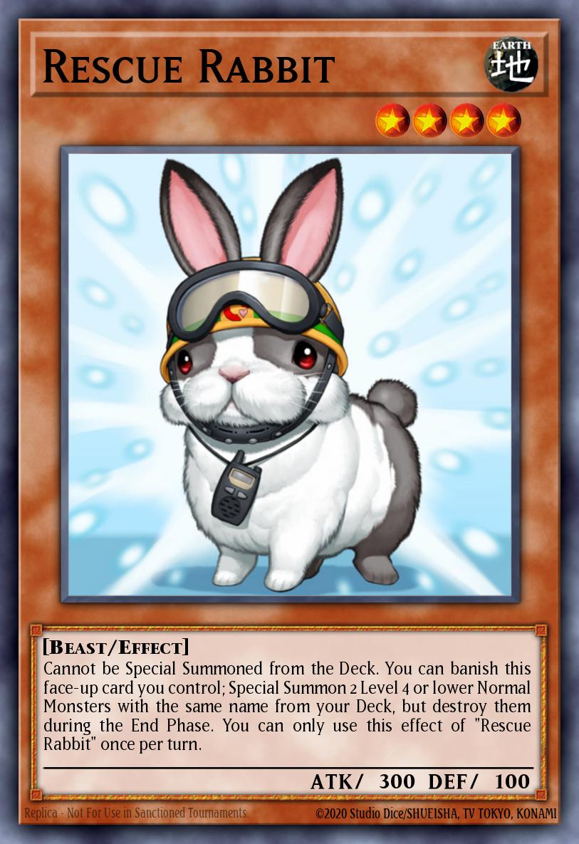 Rescue Rabbit RA02-EN008