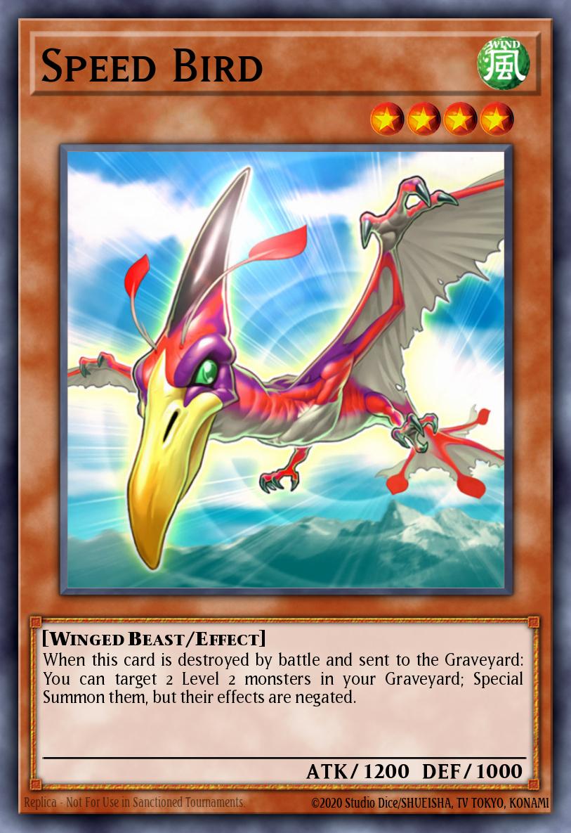 Speed Bird YS11-EN008