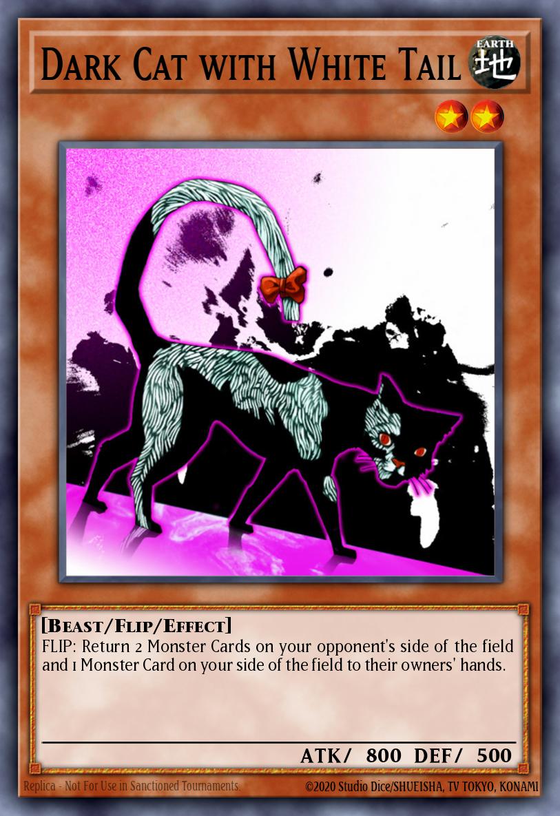 Dark Cat with White Tail DR1-EN138