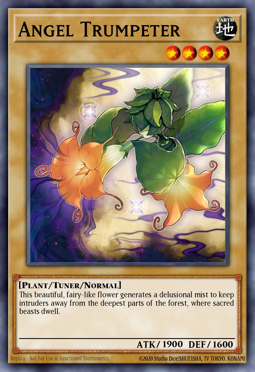 Angel Trumpeter MP17-EN001