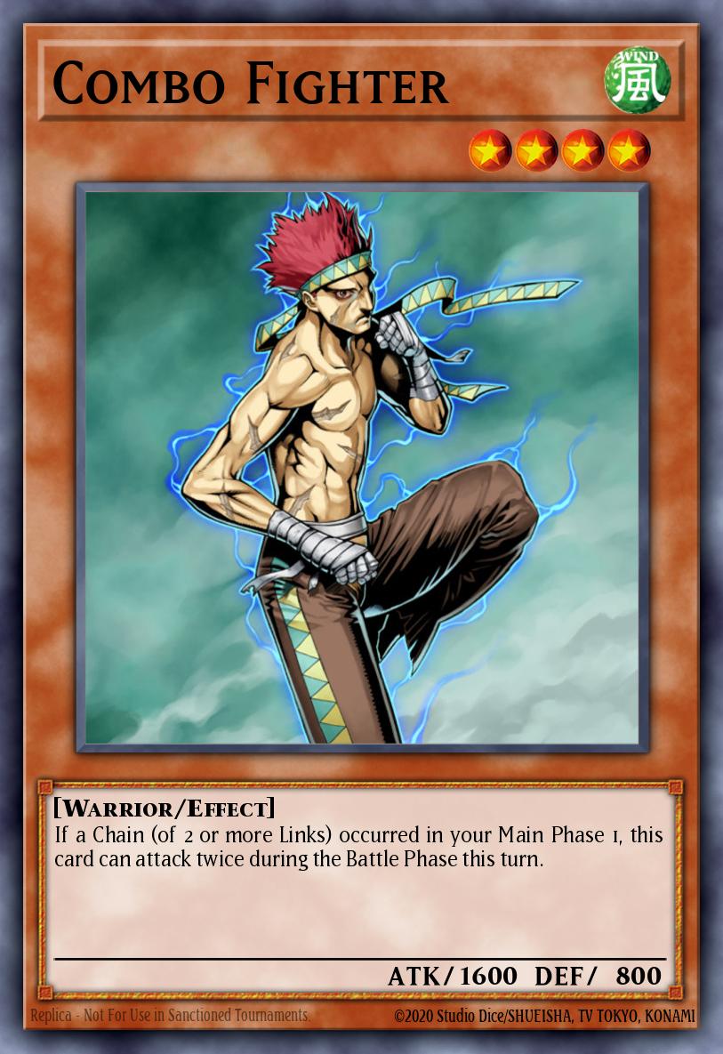 Combo Fighter CDIP-EN028