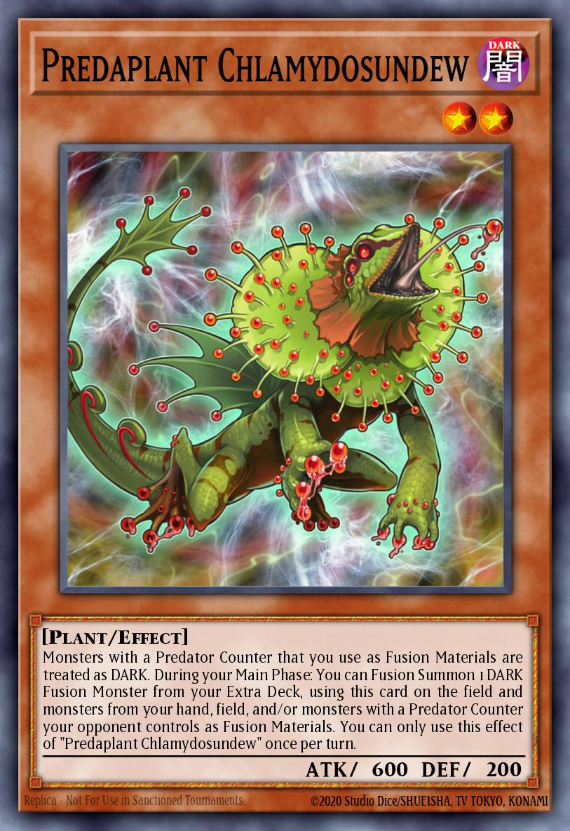 Predaplant Chlamydosundew FUEN-EN005