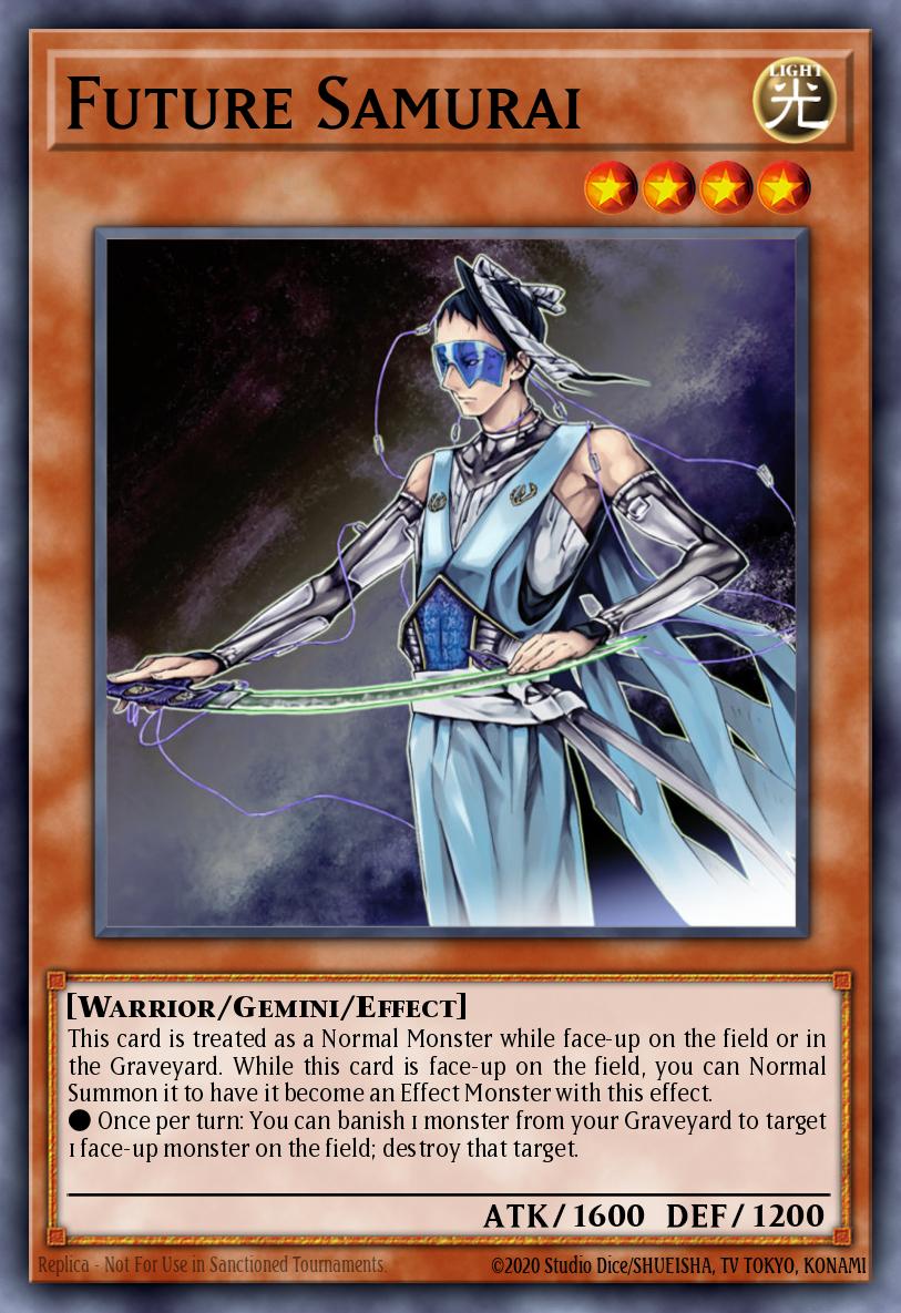 Future Samurai PTDN-EN027