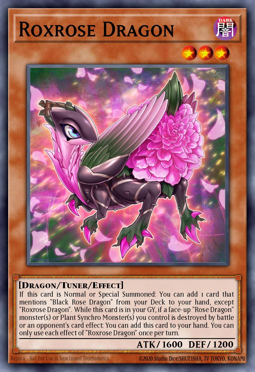 Roxrose Dragon MP22-EN060