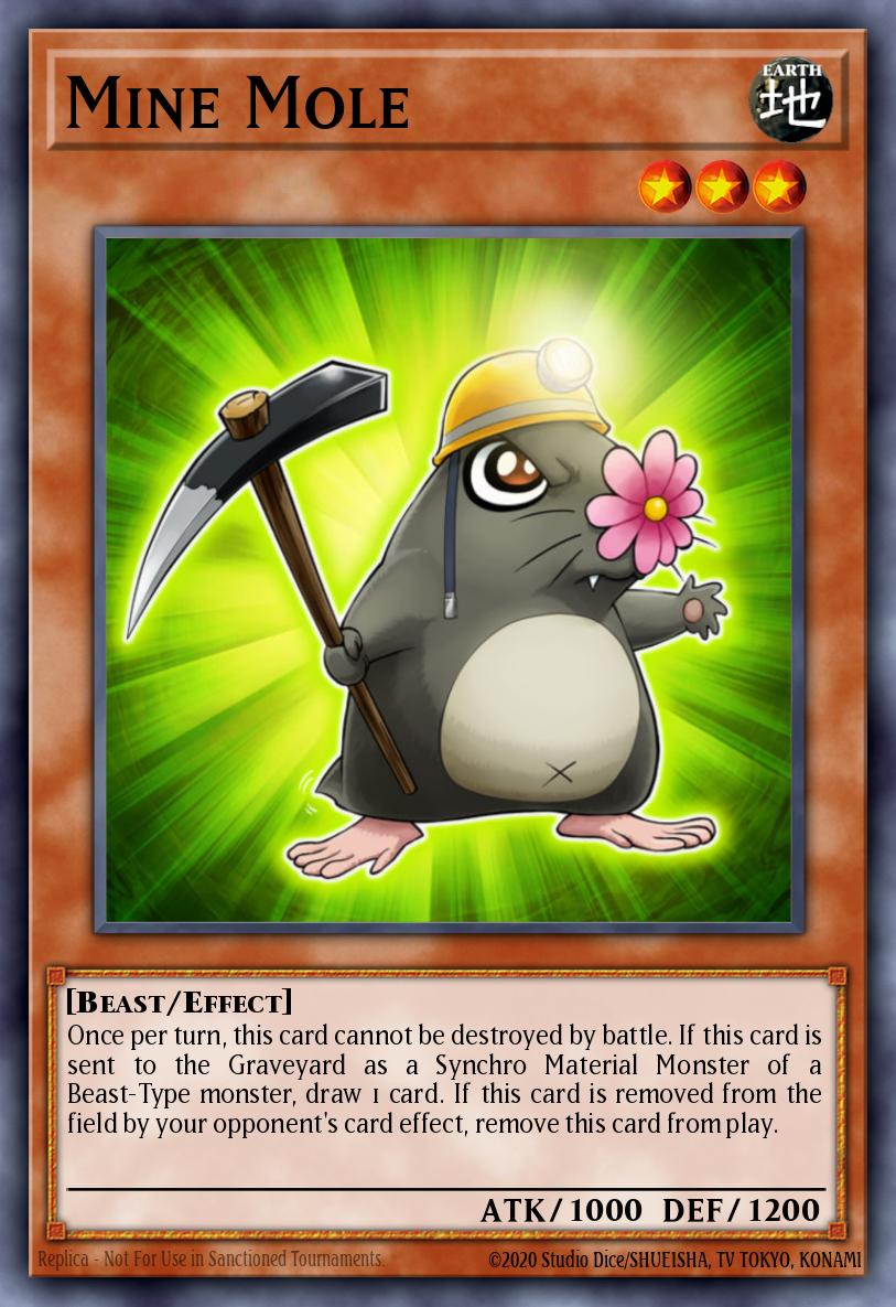 Mine Mole DREV-EN014