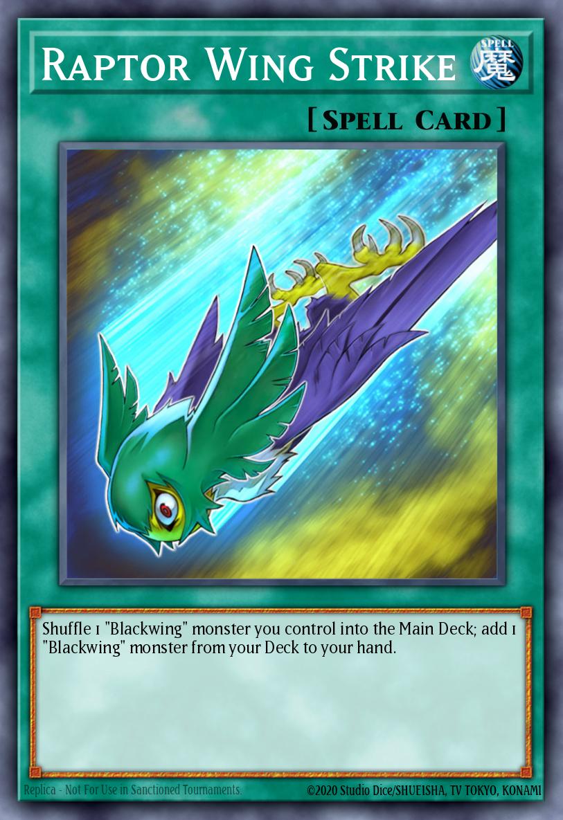 Raptor Wing Strike CRMS-EN048