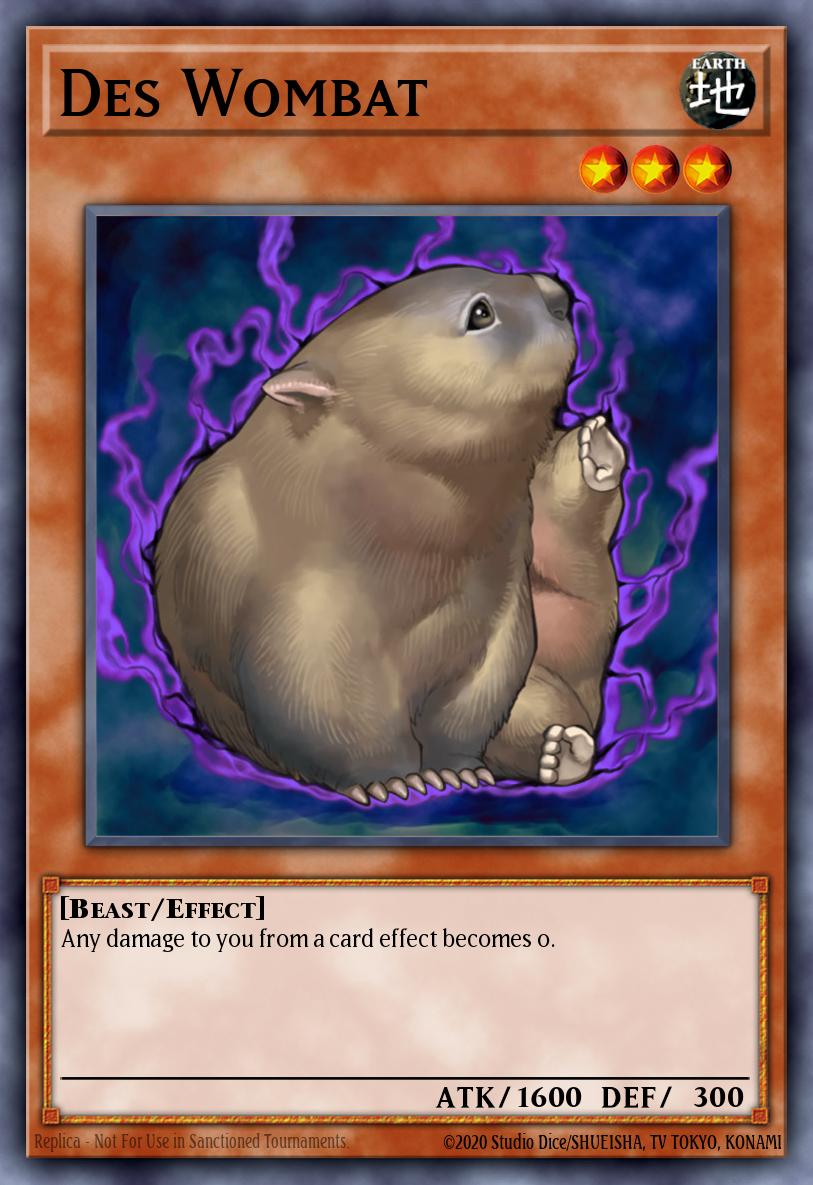 Des Wombat DR3-EN211