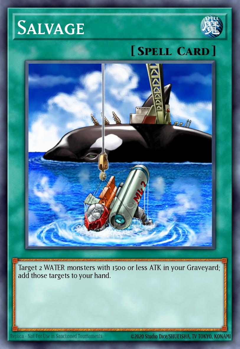 Salvage DR2-EN097