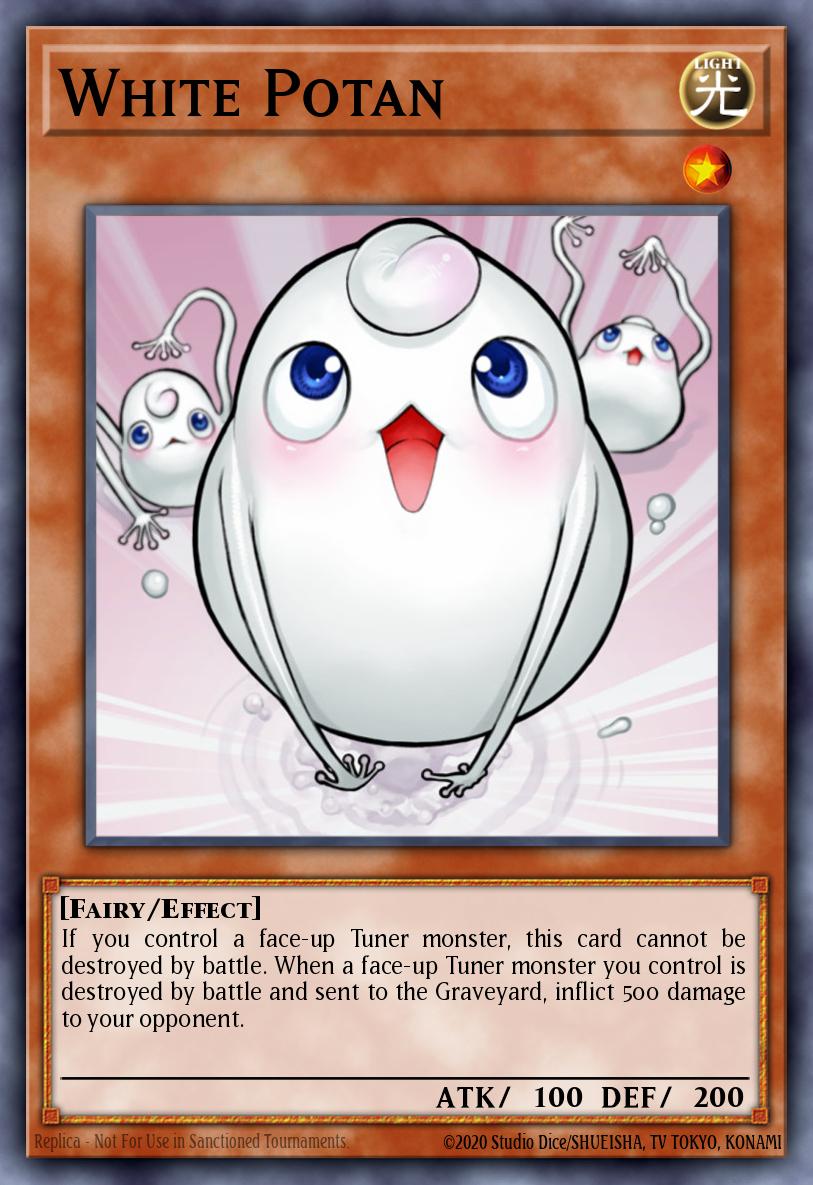 White Potan ANPR-EN033