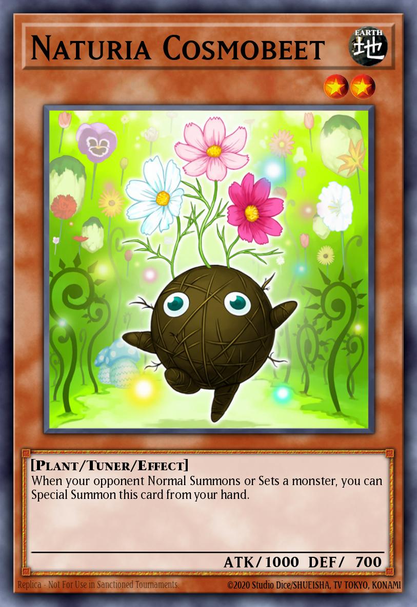 Naturia Cosmobeet DT02-EN072