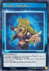 Tribal Synergy