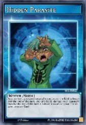 Hidden Parasite