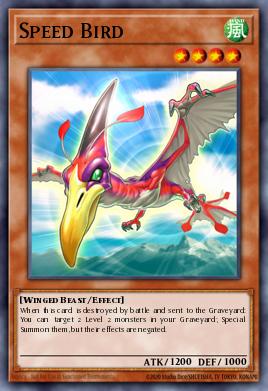 Speed Bird
